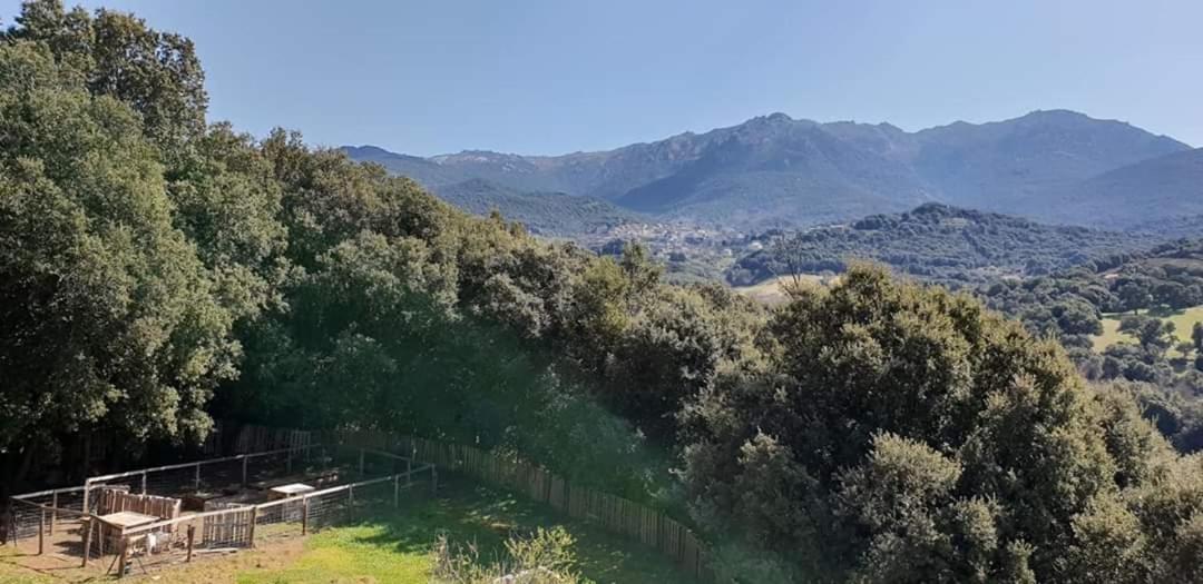 Gites San Austinu Petreto-Bicchisano Exteriér fotografie