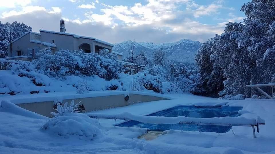 Gites San Austinu Petreto-Bicchisano Exteriér fotografie