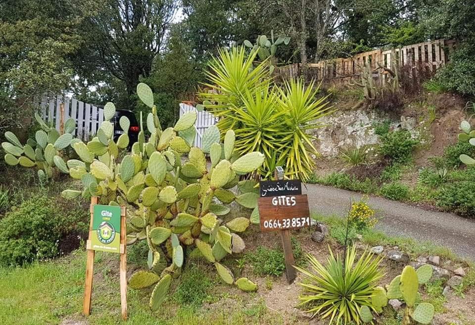 Gites San Austinu Petreto-Bicchisano Exteriér fotografie