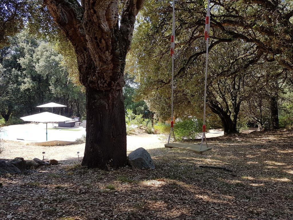 Gites San Austinu Petreto-Bicchisano Exteriér fotografie